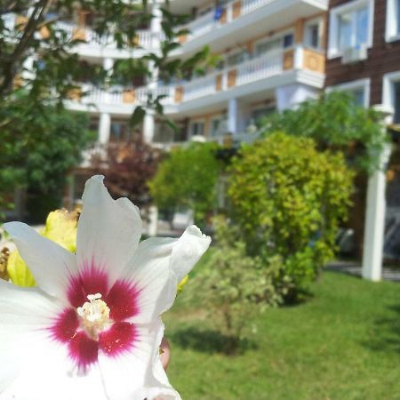 Villa Aria Complex Slăntjev Brjag Exteriör bild